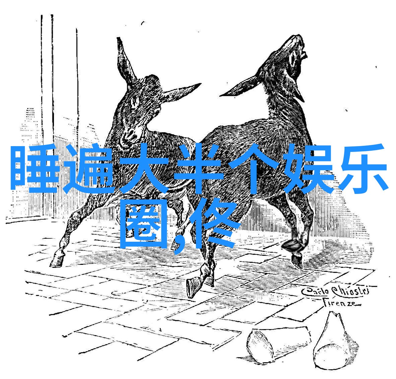 走进每个角落探索综艺3国智的制作细节与挑战