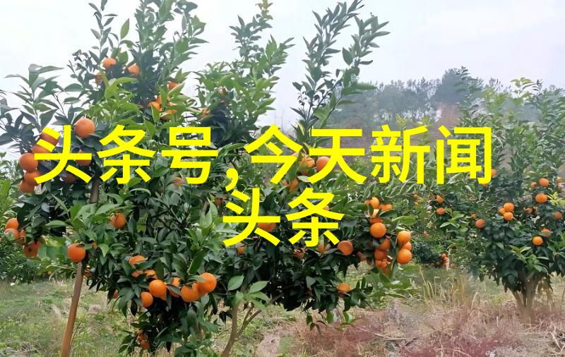麦迪娜海陆拥抱和解婆婆和妈妈还珠剧组暖心重聚坚如磐石的母爱在屏幕上闪耀