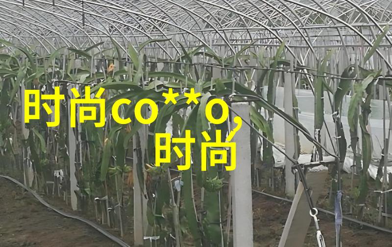 星辰大梦奇幻世界的无限娱乐盛宴
