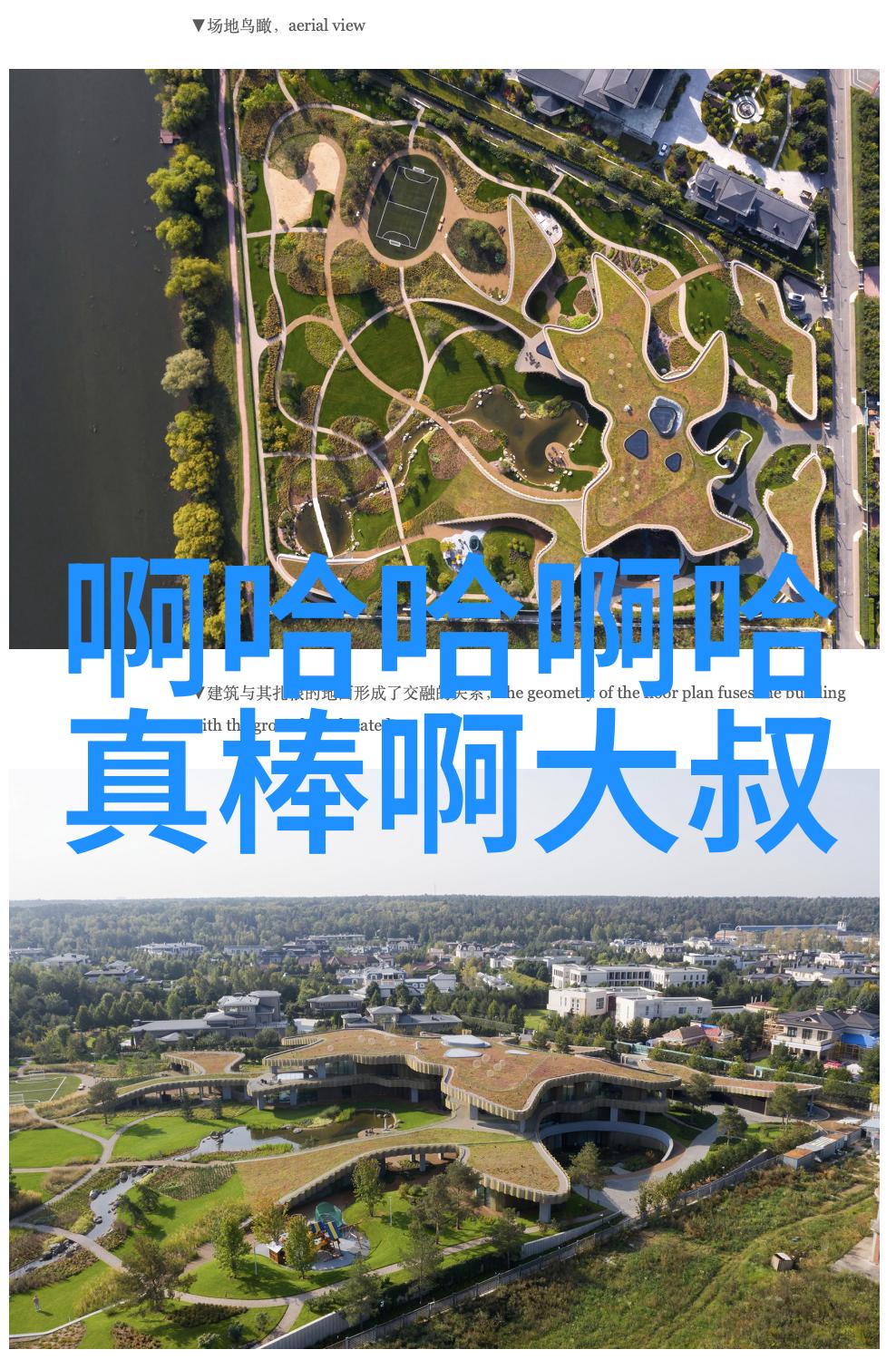 大师兄影视剧官网幕后故事的精彩探秘