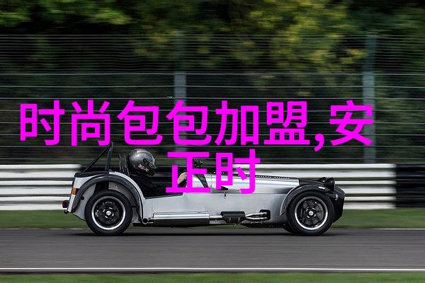 隐秘的刺激体内的恶意触发