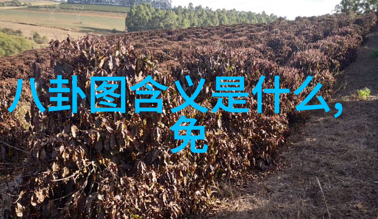 悬疑追踪韩国与日本精彩绝伦推理电影经典