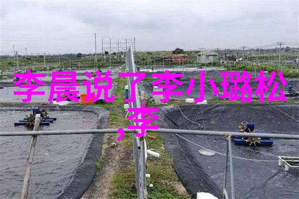 得到前辈鼓励 葡萄不愤怒发售实体专辑 备战演唱会