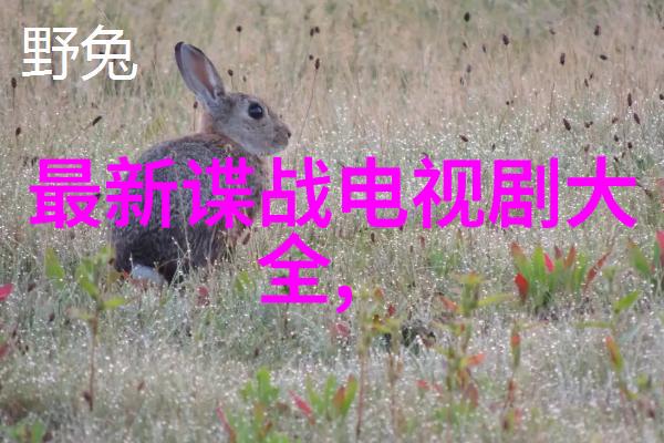 怀旧旋律八十年代经典老歌的魅力