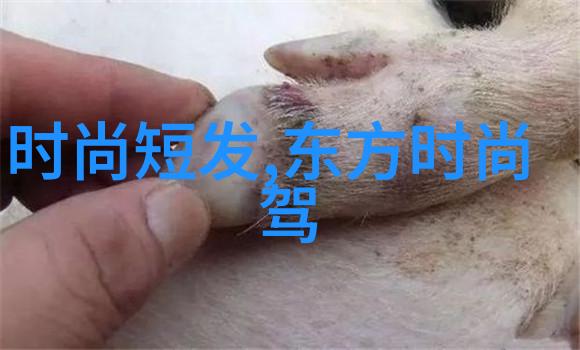 重返正义的战场英雄之路的新篇章