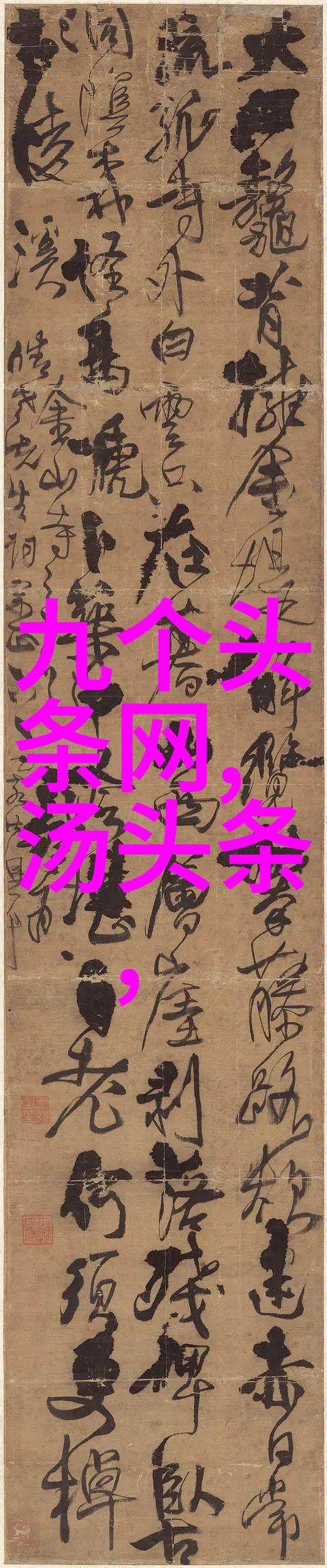 镜中花水中月网红的简介