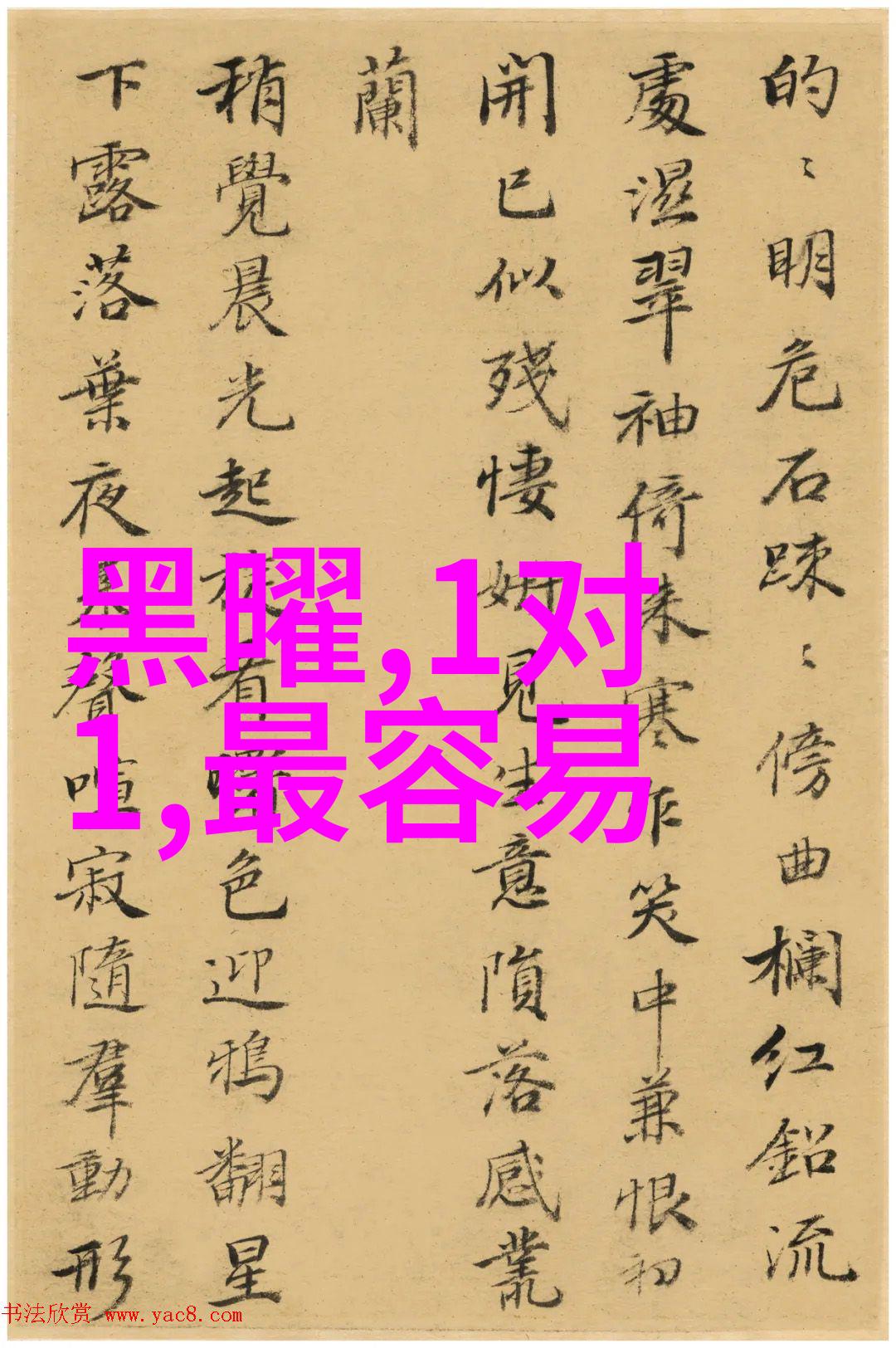 从专业角度探究写真拍摄的艺术魅力