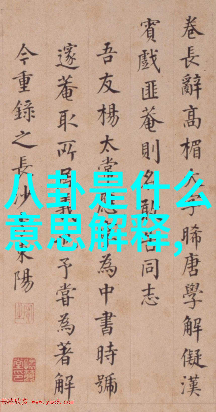 时光的缤纷舒淇写真艺术探索
