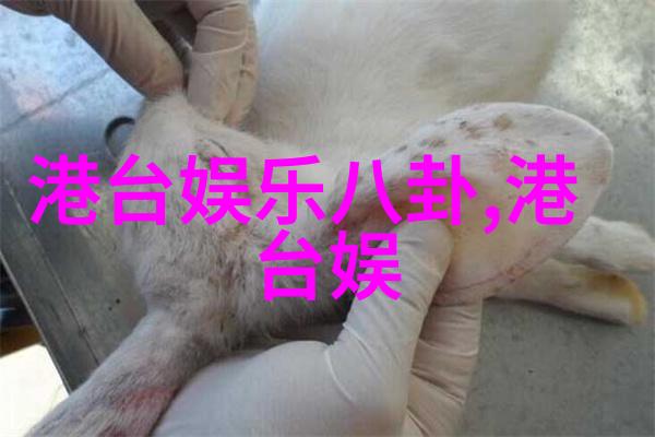 揭秘电影背后的真相解读最后的真相影片中的深层寓意