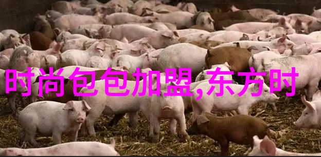 南海归墟20集免费观看花姐影视亲爱的影迷们你们准备好了吗