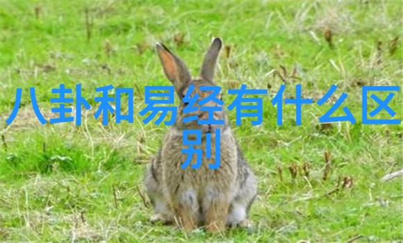 财经要闻彩灯镜头消失谜局龚俊张艺兴背后的删改风波