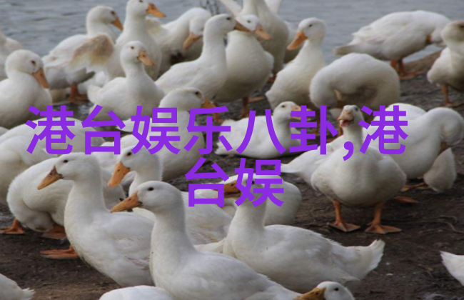汪峰抢头条5连败我是怎么不懂这背后的故事