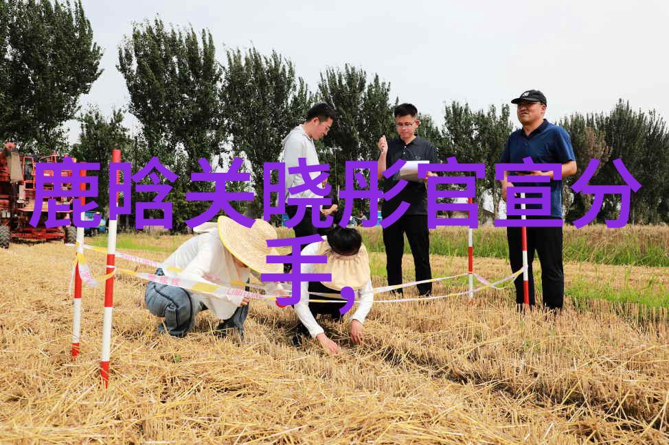 从卡通到真实世界变形金剛電影製作背后的故事