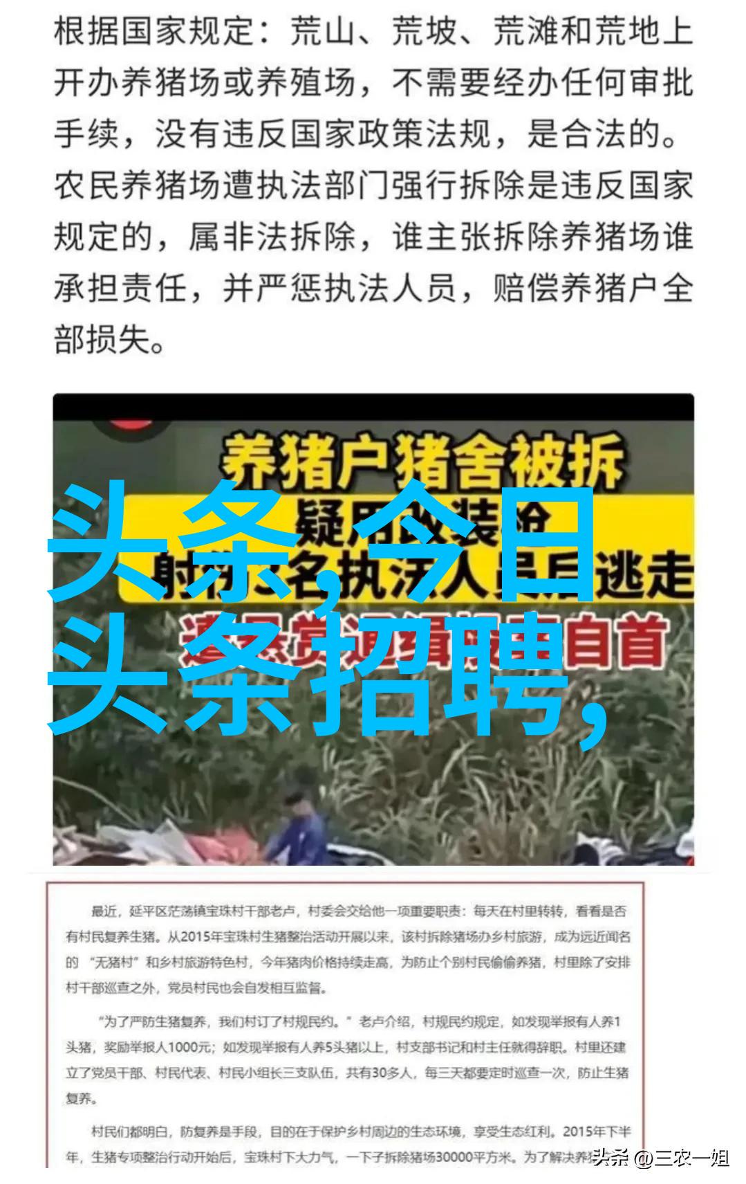 探索国内免费无版权图片素材网站提升创意作品质量
