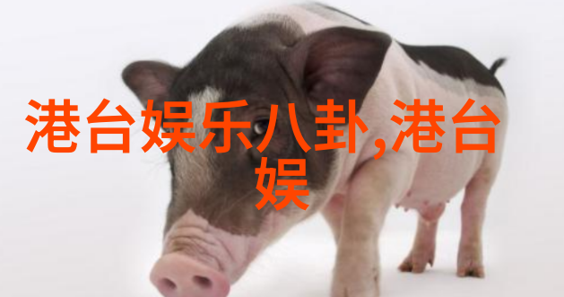 K-STAR news爆女组合中最高收入 少女时代允儿第一