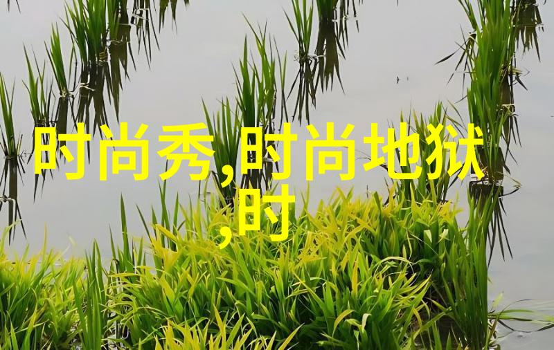 网红热搜榜天天娱乐网揭秘最火的短视频挑战
