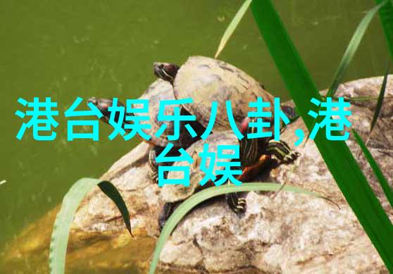 王乃超镰刀捕娱3345妙语连珠直男大考验