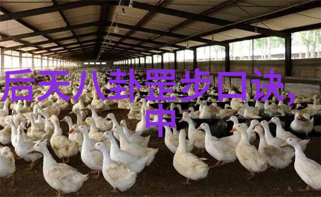 主题我来告诉你台湾最新消息新闻