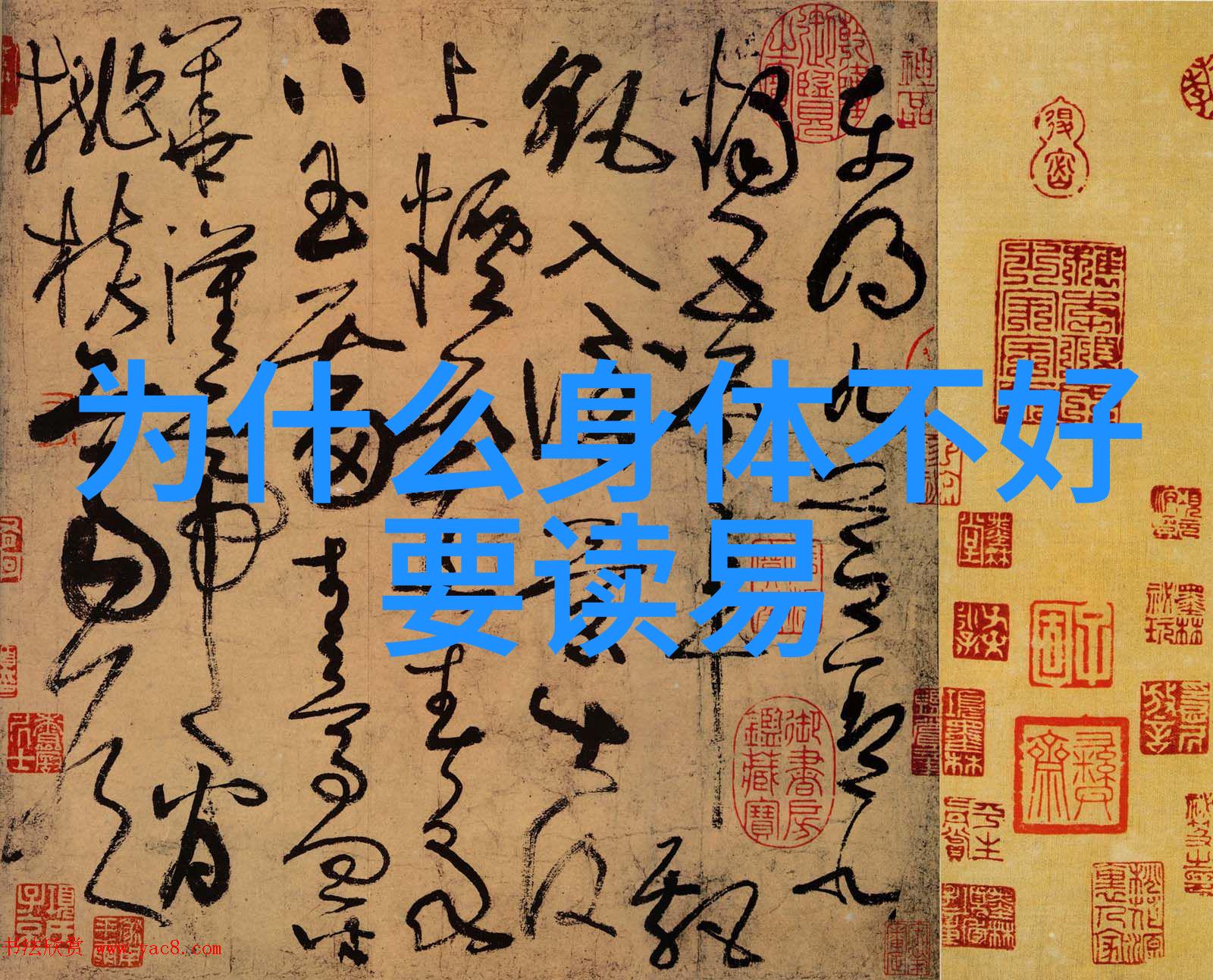 丝袜写真学探究时尚文化中的身体表现与视觉语言