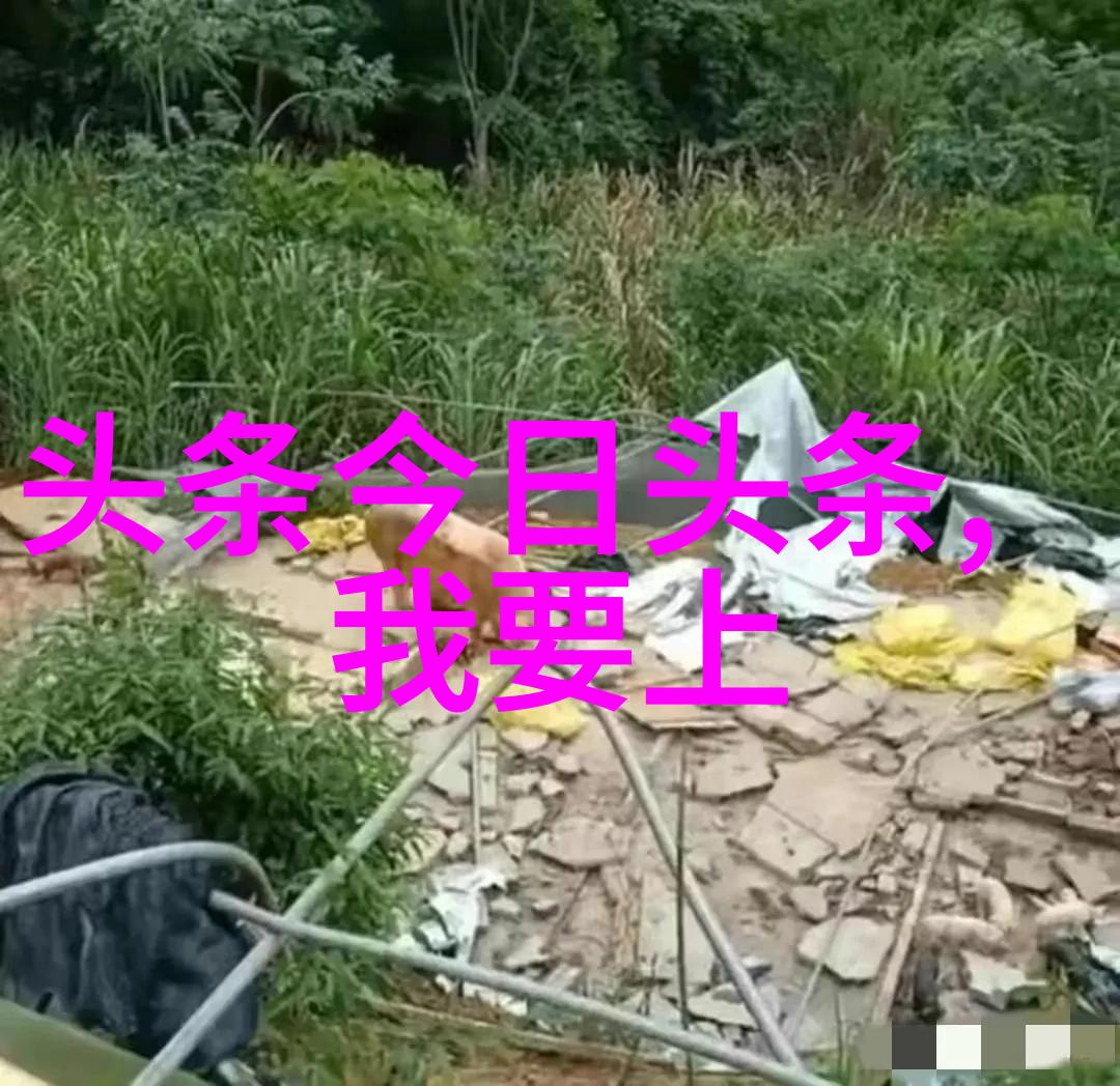 艺术写真中的视觉叙事与人文探索