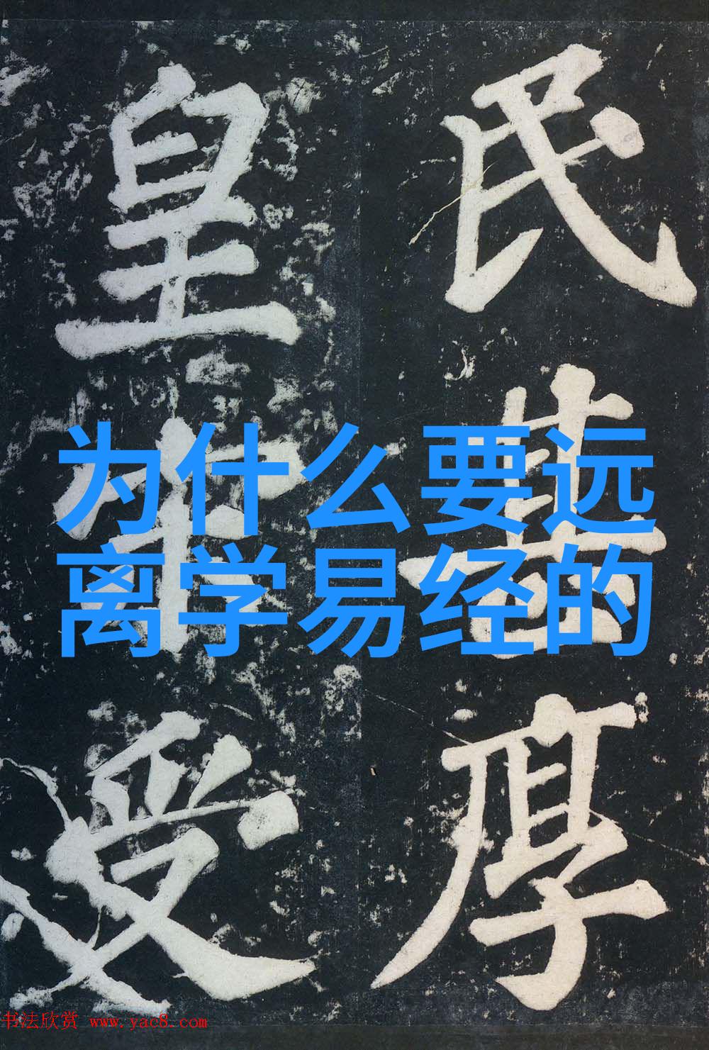 大自然的趣事录真实风景笑声连连