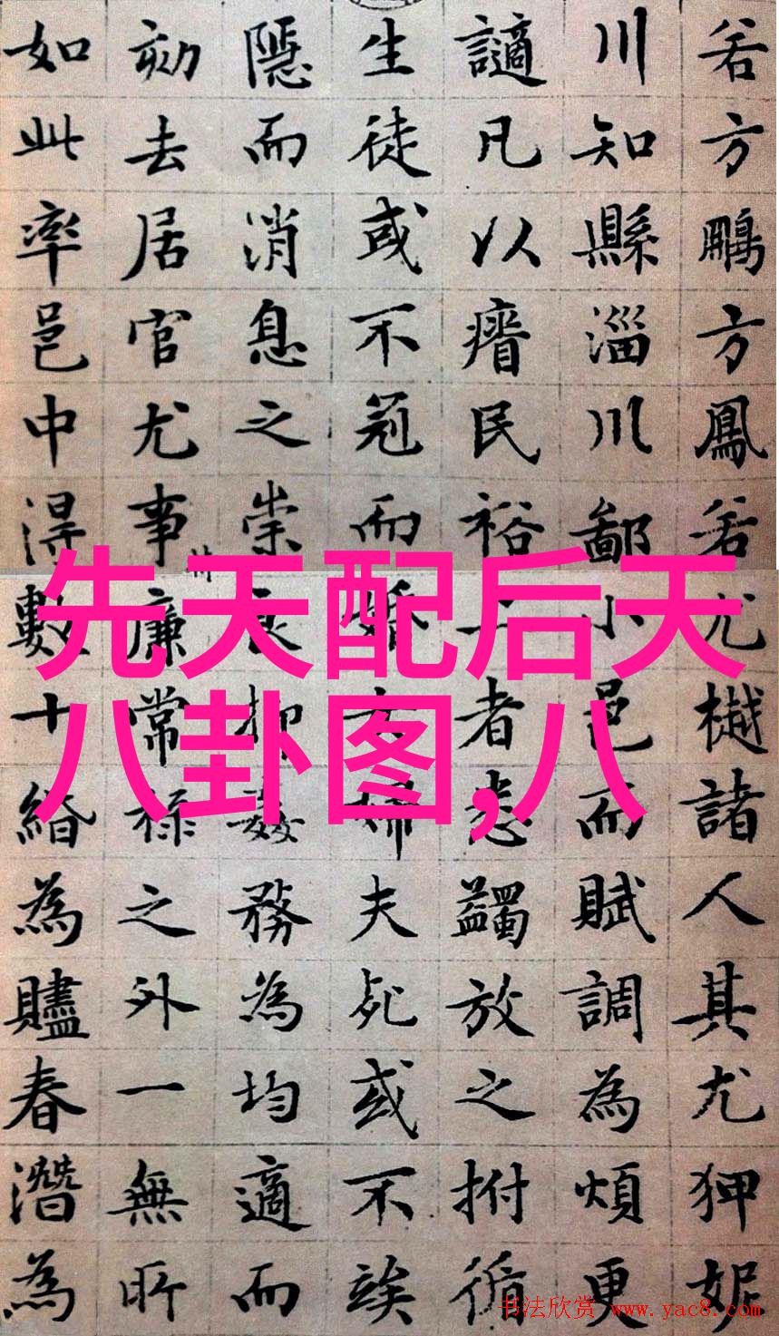 壹心娱乐怀孕五个月的郝蕾肚子显得格外挺大一副忙碌妈妈模样逛街背后是普通公务员的老公默默支持