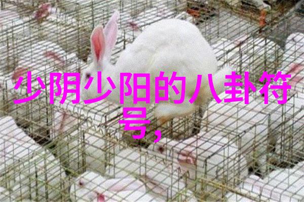 120健康探秘如何在快节奏生活中保持身体与心理的平衡
