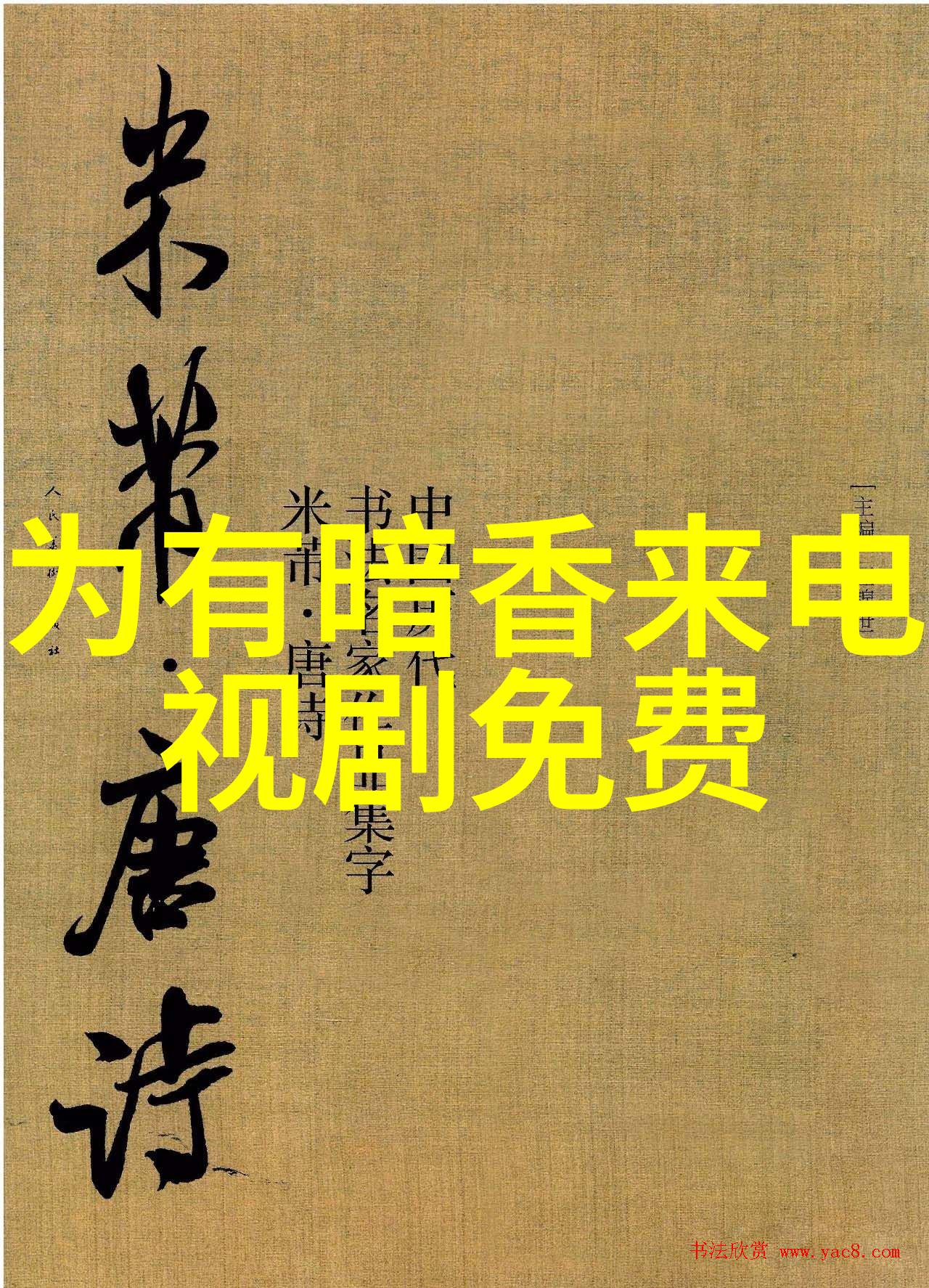 青春梦想视频里的快乐飞翔