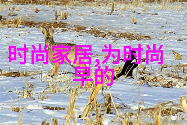 网红不倒翁小姐姐为什么不倒 她叫什么名字怎么不火了探秘网红背后的真相揭开物品背后的故事