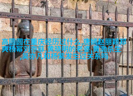 这是今年最好的爱情故事。