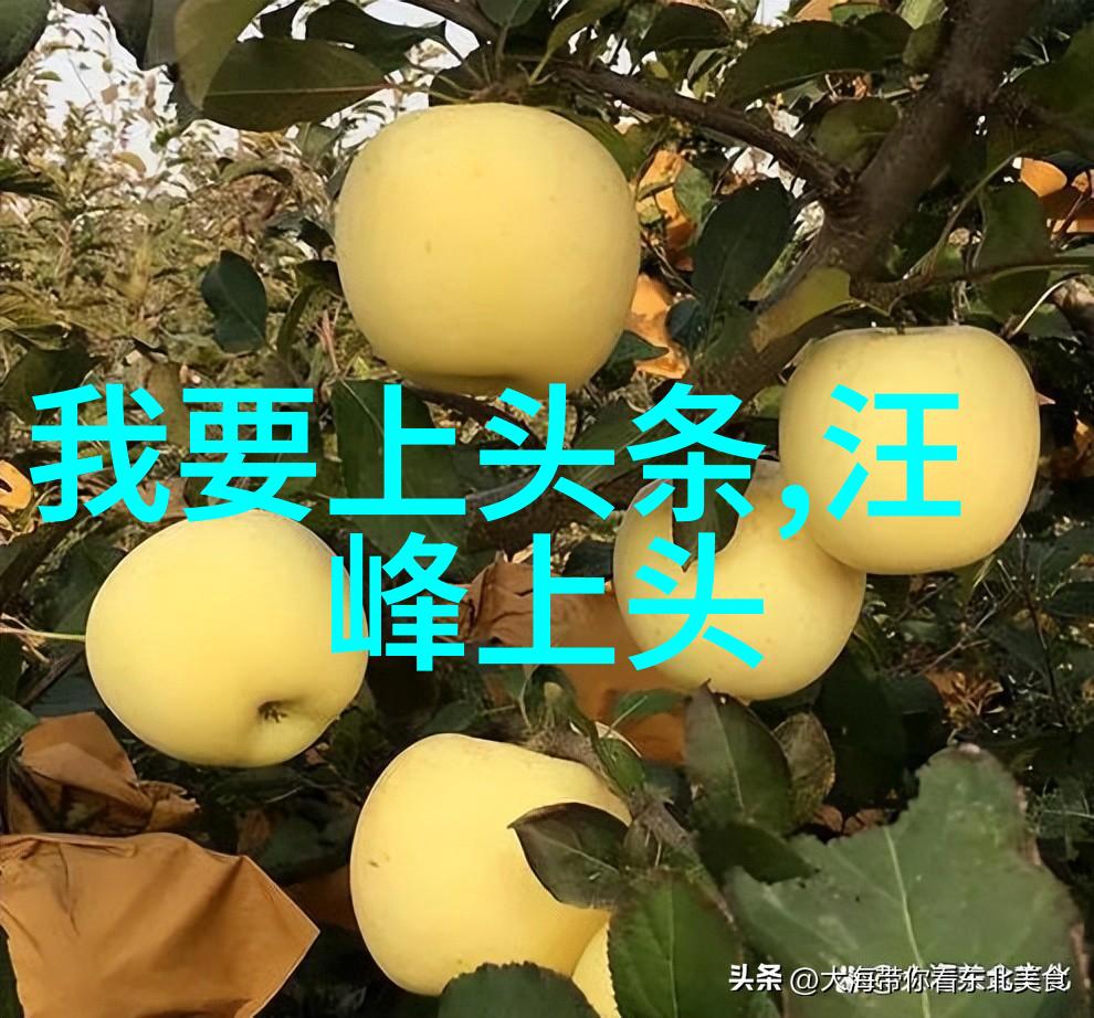 刘雯一天走三场秀因消瘦热搜引发关注社会各界纷纷议论她在火锅加盟店开业仪式上现身展现时尚与温馨的融合