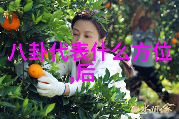 防盗版先行了解并正确使用电影下载网站