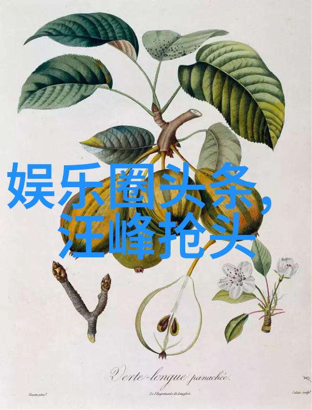 时尚家居 - 奢华生活时尚家居装饰的艺术探索