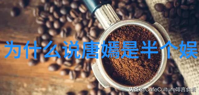 冰山女王的秘密