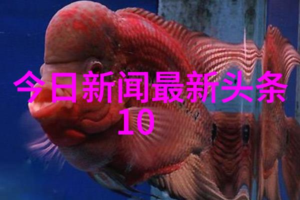 色彩与故事卡通图片背后的设计理念