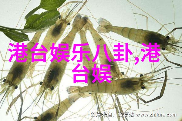 时尚达人的鞋履搭配艺术