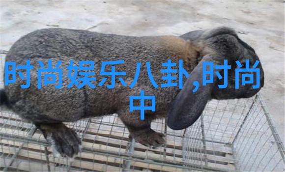 从传统到现代荷花图片大全展现了什么变化