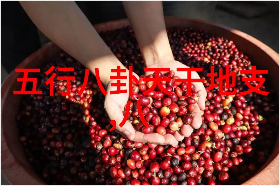 如何定义一个漂移的生活方式