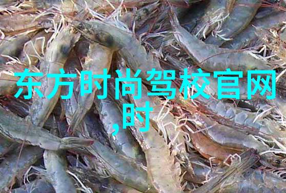 小八卦的秘密力量穿戴它们你会发现生活中隐藏的平衡与和谐