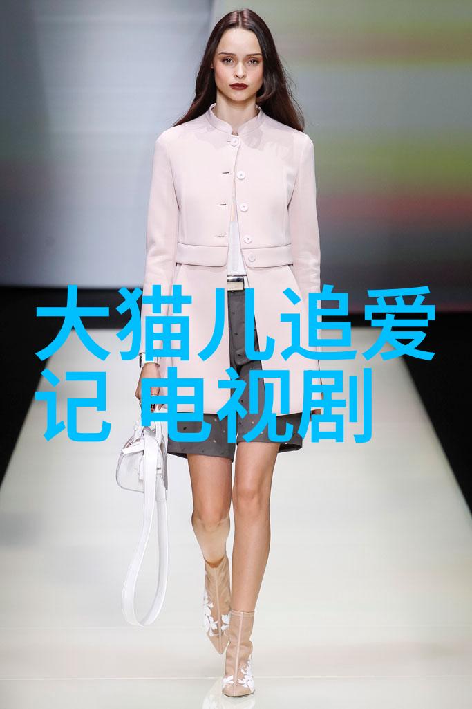 22232轴承-深度探究高精度双列自Align球轴承在工业应用中的优化性能