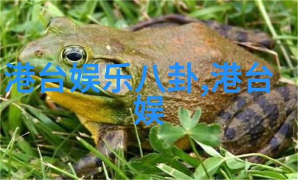 女生说的八卦背后藏着什么情感