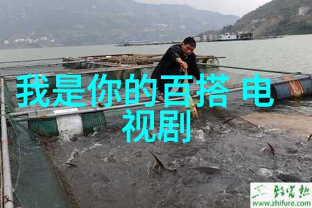 电影天堂-梦幻银幕探秘影视世界的宝库