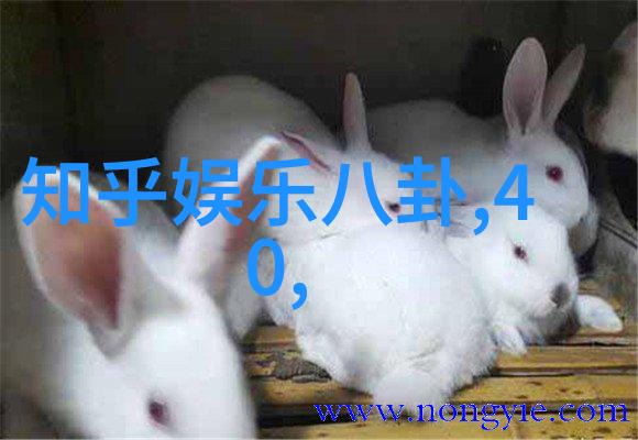 姓名中的智慧深度解读名字测算八字原理