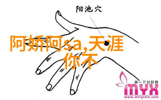 人与食探索B类食物在日常生活中的角色