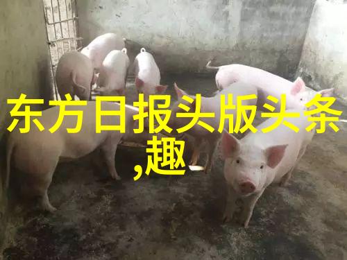 念念无明 电视剧热播引爆15万人次关注韩网友再次终止观看无法抗拒这部作品的魅力