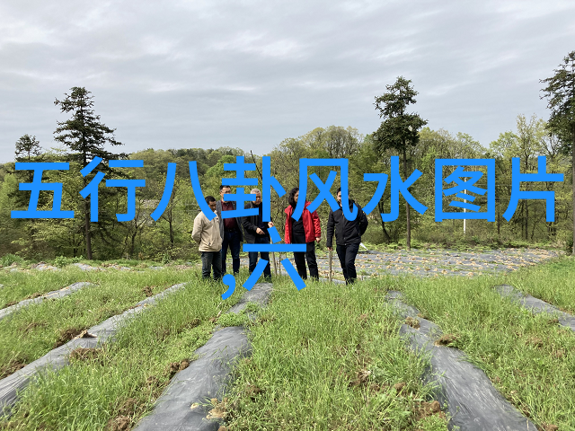 英语歌曲风靡抖音上的十首金曲推荐