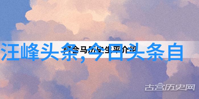 秘密嘉宾的挑战日本综艺背后的真相