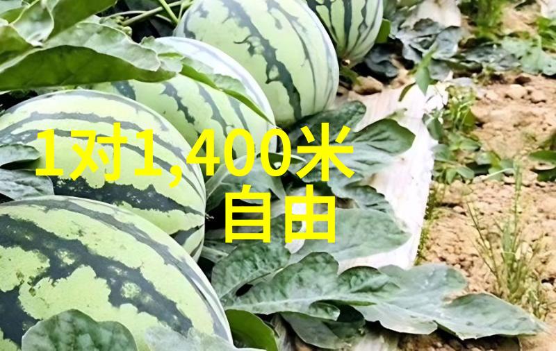 王思聪与雪梨爱情的意外相遇