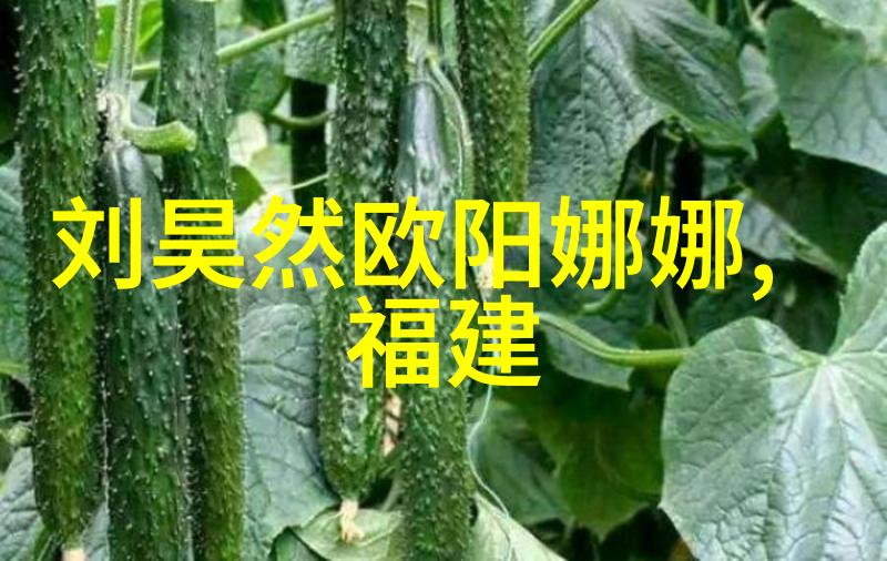 恋爱综艺热潮探秘最新情侣大排行恋爱综艺热潮最新情侣大排行