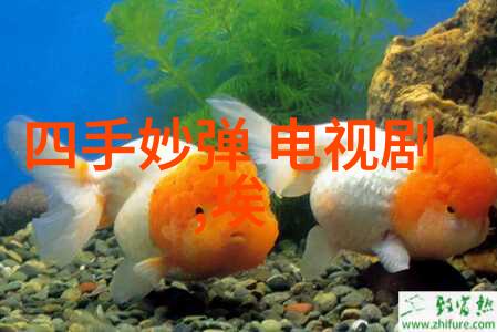 变形金刚爆笑大战我是如何和奥特曼一起拯救世界的